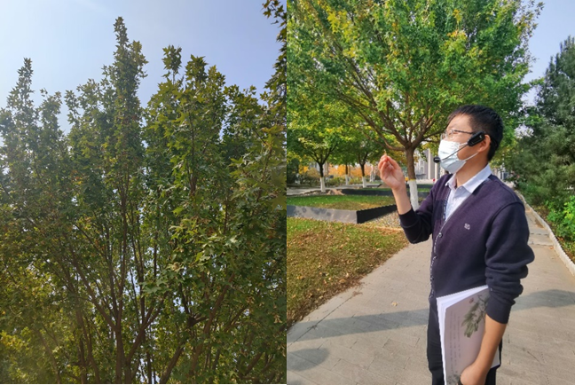 金沙娱乐城app