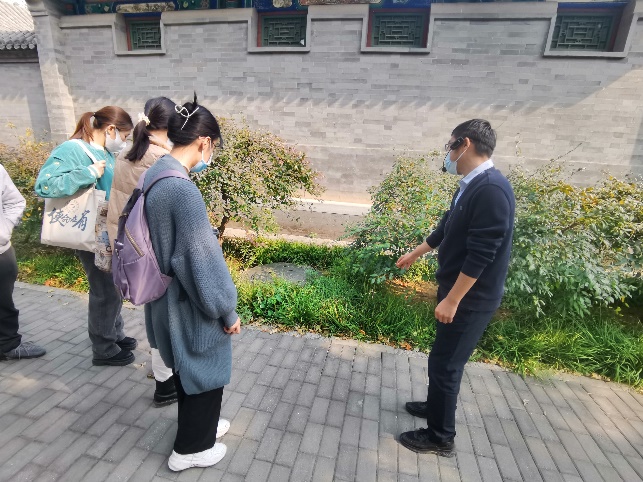 金沙娱乐城app