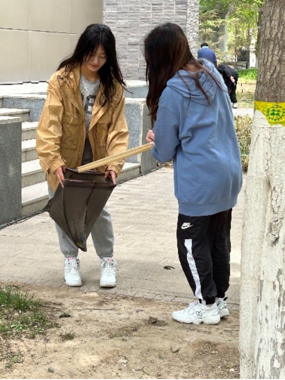 金沙娱乐城app