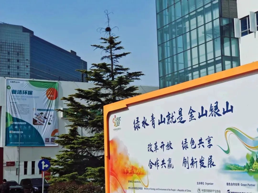金沙娱乐城app