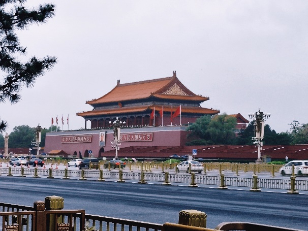 金沙娱乐城app