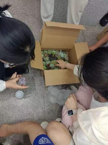 金沙娱乐城app