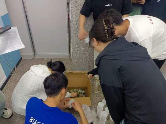 金沙娱乐城app