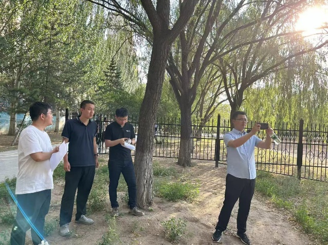 金沙娱乐城app