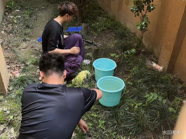 金沙娱乐城app