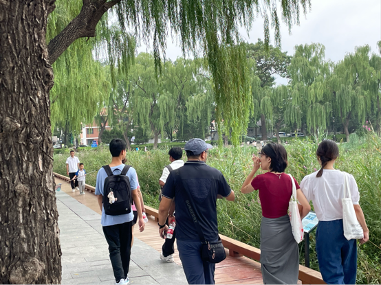 金沙娱乐城app