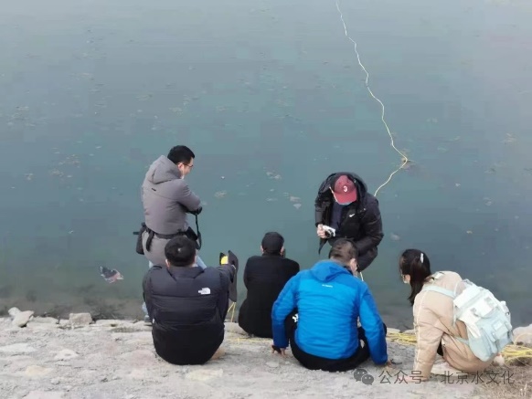 金沙娱乐城app