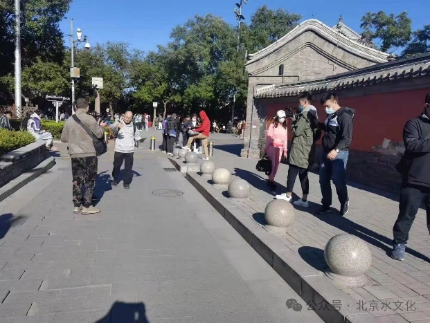 金沙娱乐城app