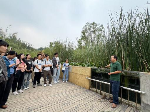 金沙娱乐城app