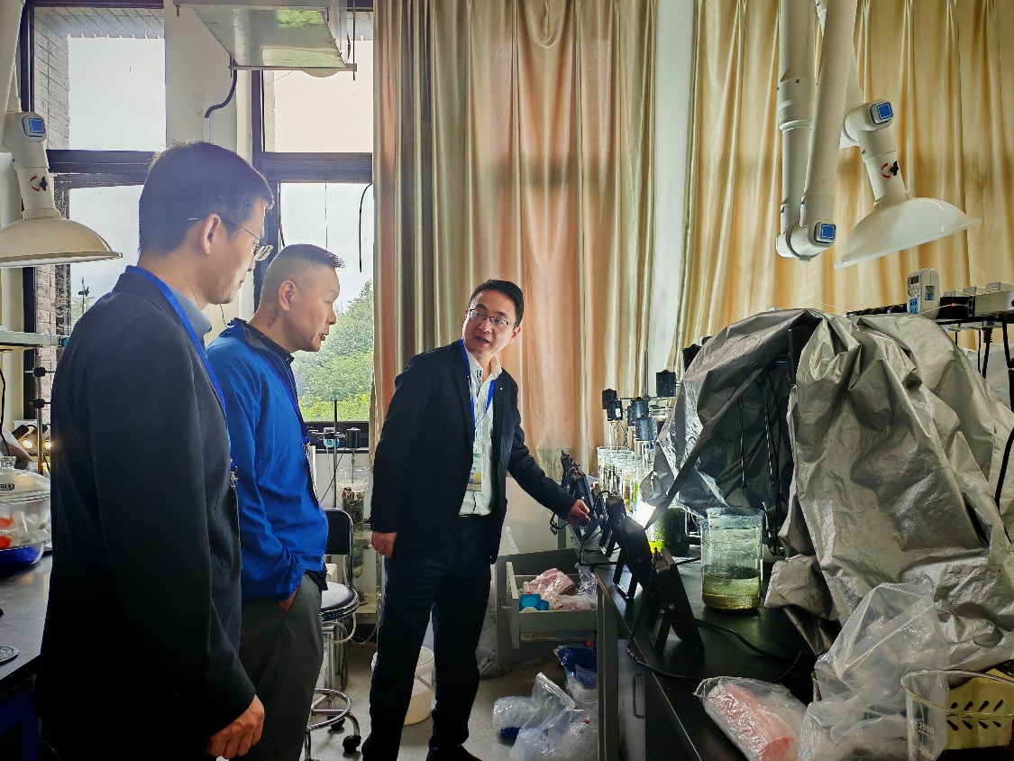 金沙娱乐城app